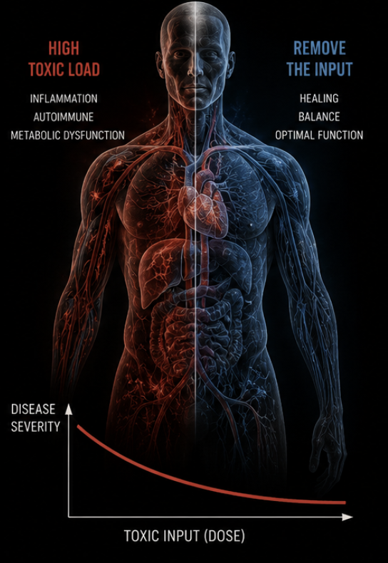 Split-body diagram contrasting high toxic load with removing the input, above a disease severity versus toxic dose curve